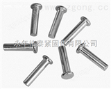 齊全鉚釘，平頭鉚釘，半圓頭鉚釘