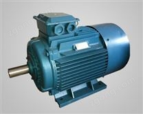 YE3節(jié)能電動(dòng)機(jī)