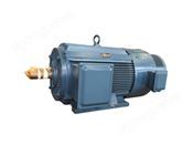 YRW型無(wú)刷無(wú)環(huán)三相異步低壓電動(dòng)機(jī)